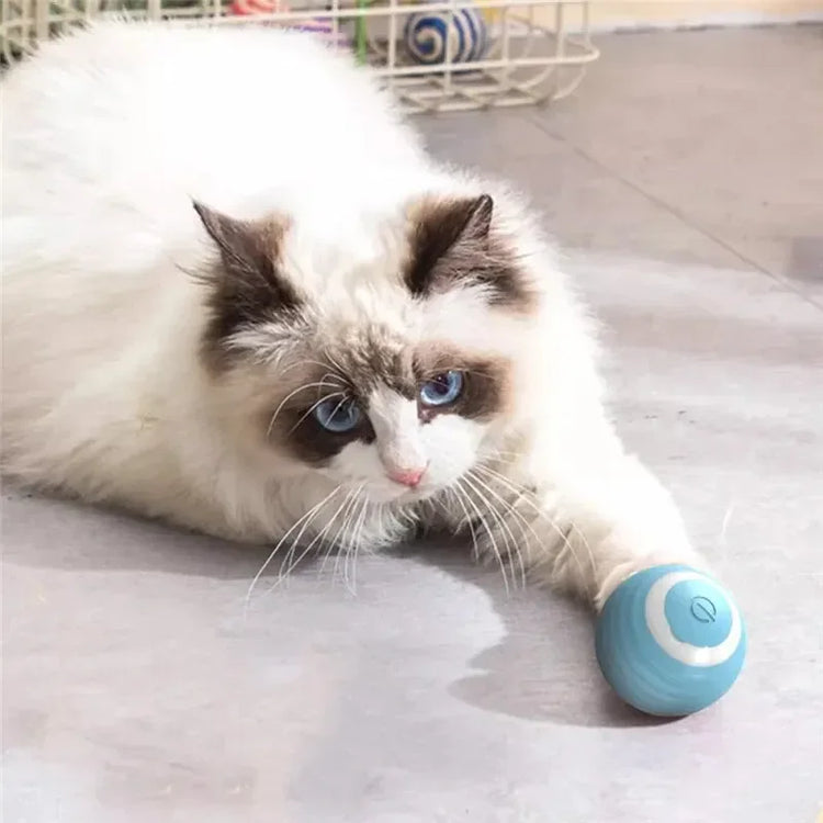 Cat Interactive Ball Toys | Training Self-Moving Kitten Toy | Electric Rolling Magic Ball | Electronic Automatic Cat Toys