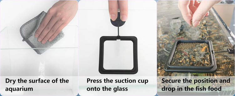 Aquarium Feeding Ring Floating Food Tray with Suction Cup – Square Fish Feeder (Black & Blue)