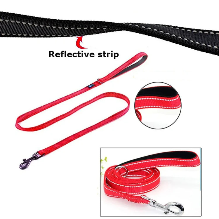 Heavy Duty Double Handle Dog Leash – Outdoor Training & Travel Lead
