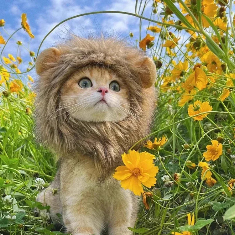Cute Lion Mane Wig Hat for Cats/Small Dogs | Funny Pet Costume For Halloween, Christmas & Parties