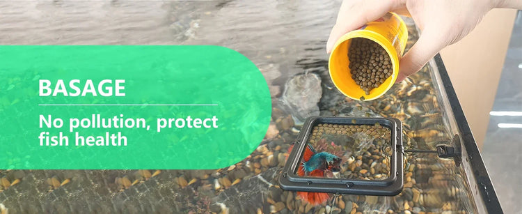 Aquarium Feeding Ring Floating Food Tray with Suction Cup – Square Fish Feeder (Black & Blue)