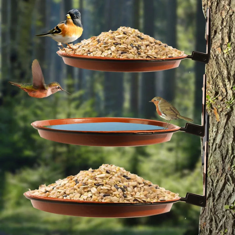 Wall Hanging Bird Feeder Bowl – Tree-Mounted Bird Bath Spa | Includes 2 Trays, Metal Rings & Screws