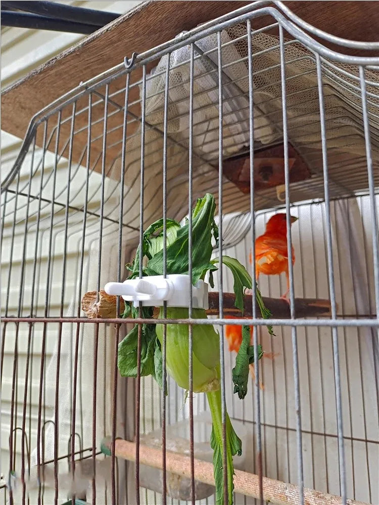 Cute Small Pet Bird Food Holder | Parrot Fruit & Veggie Clip | Cuttlefish Bone Feeder | Cage Clamp Tool | Accessories for Canaries & Cockatiels