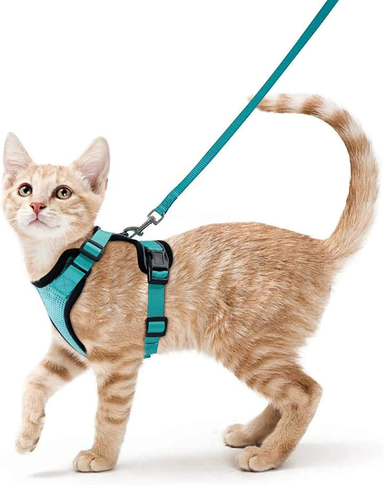 Cat Harness and Leash for Walking | Escape Proof | Soft Adjustable Vest Harnesses for Cats | EasyControl