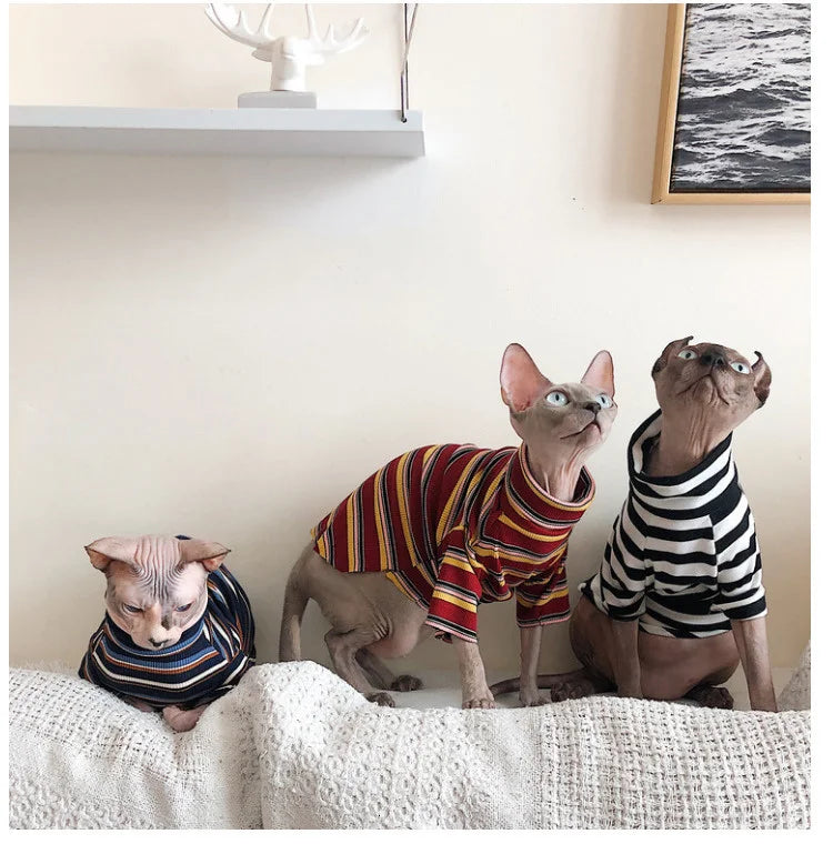 Striped Knitted Cat Clothes for Sphynx | Warm Vest for Hairless Cats | Autumn/Winter Outfit (XS–XL)