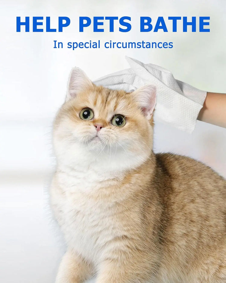 Cleaning Wipes Gloves for Dog/Cat | Deodorizing Bath Wipes | Grooming Glove for Paws, Face, Ears, and Body | Daily Pet Care Supplies