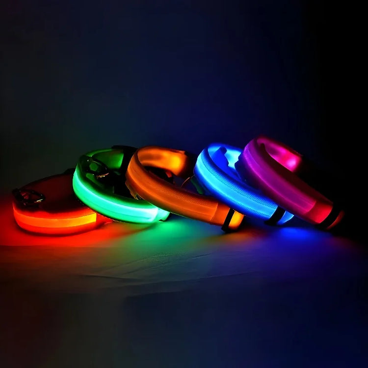 Nylon LED Dog Collar | Night Safety Flashing Glow In The Dark | Dog Leash | LUminous Fluorescent Dog Accessories Collar