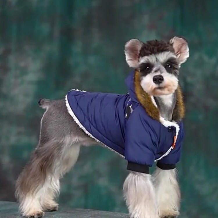 Pet Clothes - Winter/Warm Waterproof Jacket For Small Dogs | Puppy Costume | French Bulldog Outfit Coat | Chihuahua Clothing