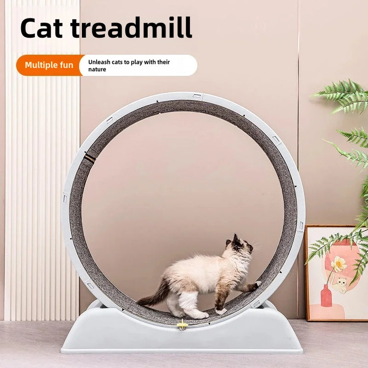 Pet Treadmill – Cat Exercise Wheel for Indoor Parkour | Easy-to-Assemble Cat Roller Toy | Durable Solid Color Cat Treadmill