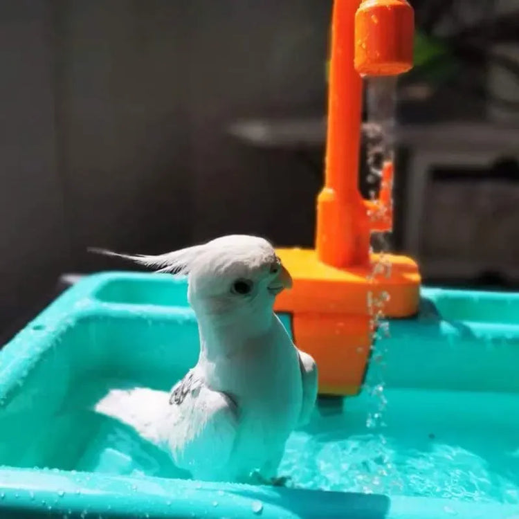 Parrot Bathtub Bird Shower Bath Cage Basin Parrot Bath Basin Parrot Shower Bowl Parrot Toy Bird Bathtub Kids Kitchen Sink Toys