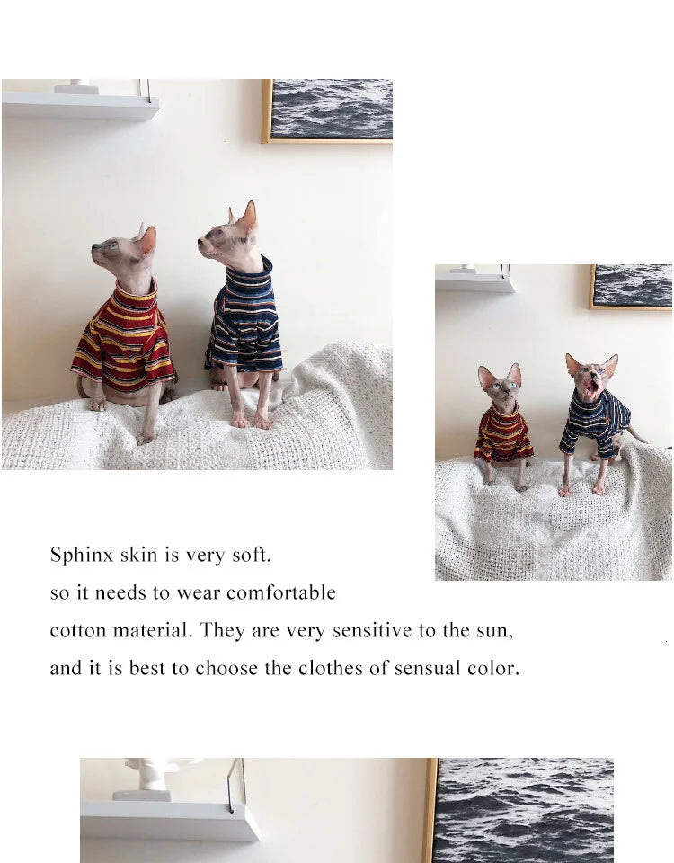 Striped Knitted Cat Clothes for Sphynx | Warm Vest for Hairless Cats | Autumn/Winter Outfit (XS–XL)
