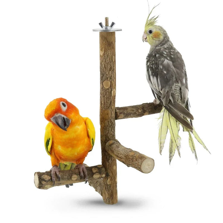 Natural Wood Bird Branch Stand | Perches Pet Parakeet Budgie Hanging Play Toy | Bird Cage Parrot Wooden Desk Holder Perches Platform