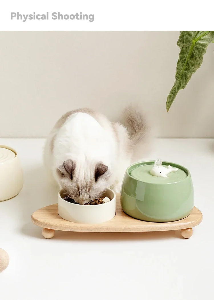 1.3L Ceramic Cat Water Fountain | USB Rechargeable Pet Water Dispenser | Automatic Circulating Filter for Cats & Small Dogs
