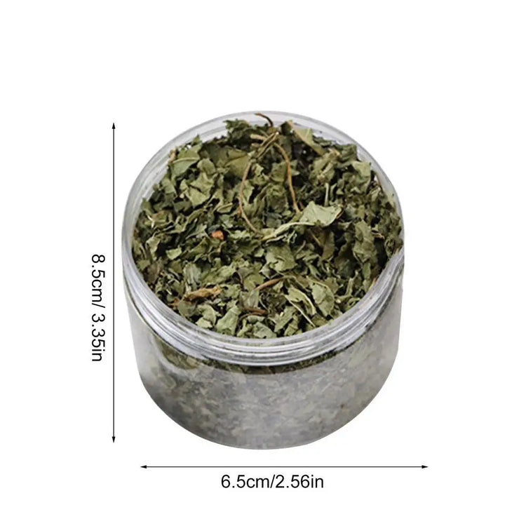 Natural Catnip | Organic Premium Catmints | Cat Toy Cataria | Eliminating Cats Hairballs | Absorbing Foods | Vitamin Supplement