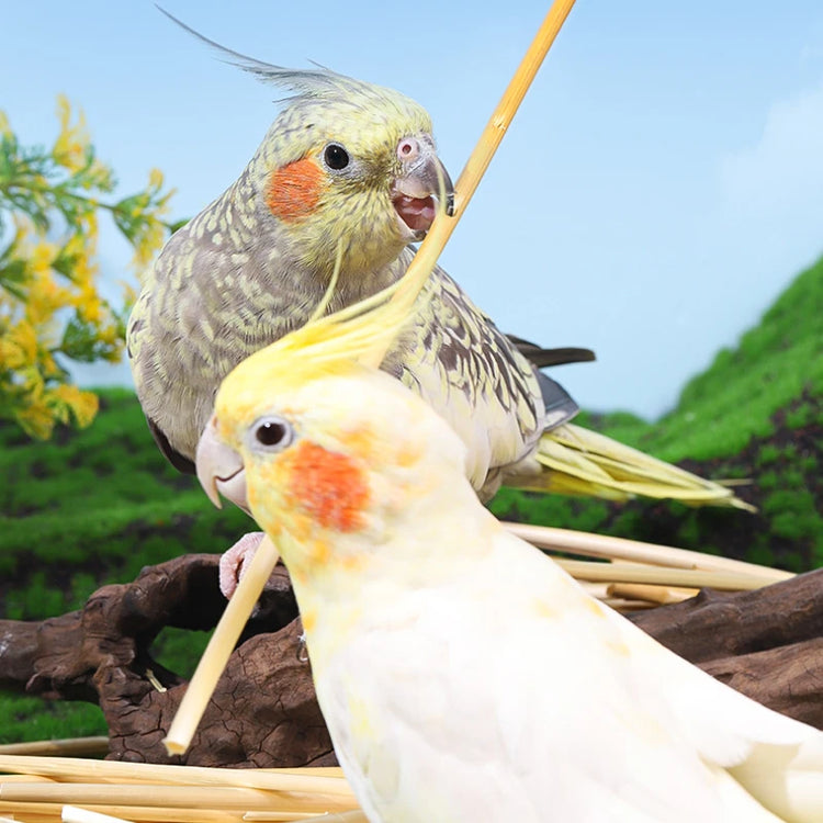 3/100g Ball Bird Toy | Natural Pet Parrot Bite Toys - Budgies | Cockatoo | Parakeet | Cockatiels | Lovebird Cage - Teething Toy | Nest Decor