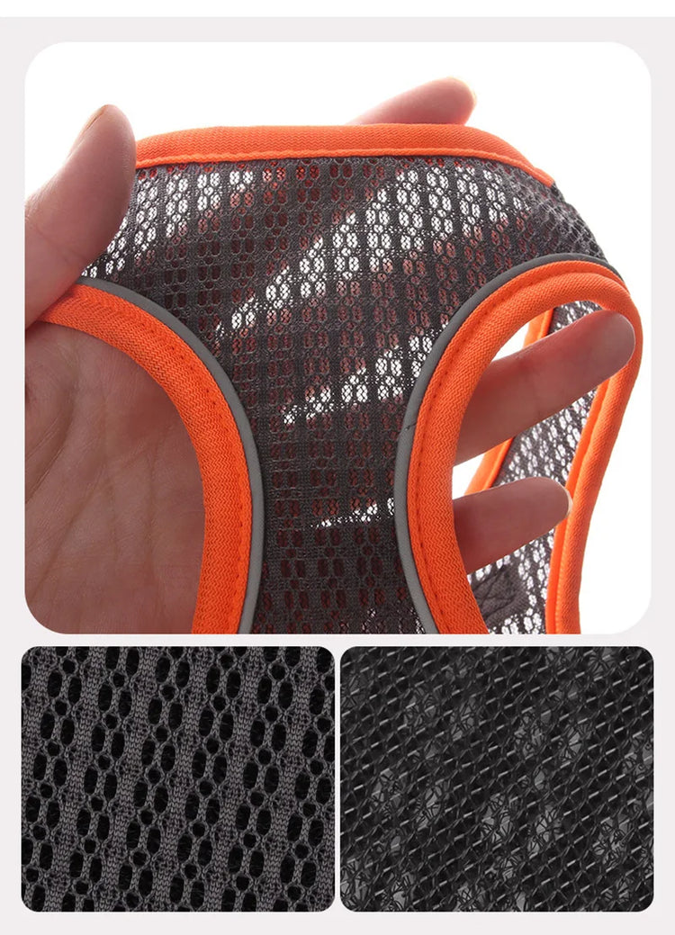 Pawstrip Soft & Reflective Dog Harness with Leash – Comfortable Vest Harness for Small Dogs