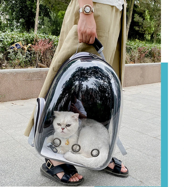 Cat Carrier Bag | Outdoor Pet Shoulder Bag | Carriers Backpack | Breathable Portable Travel Transparent Bag | For Small Dogs Cats