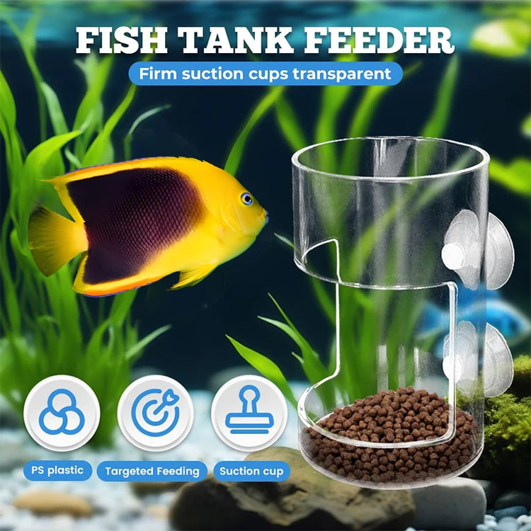 Fish Feeder for Aquarium – Acrylic Feeding Tube with Suction Cup