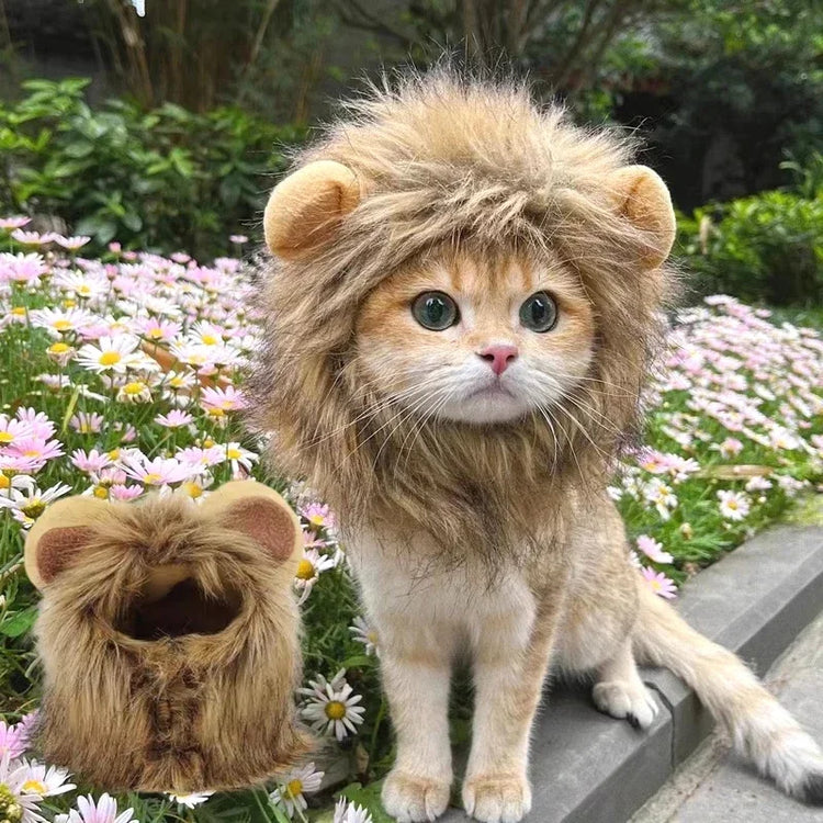 Cute Lion Mane Wig Hat for Cats/Small Dogs | Funny Pet Costume For Halloween, Christmas & Parties