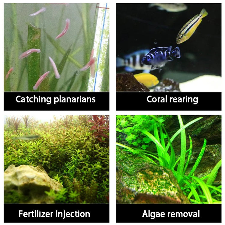 Fish tank plant liquid fertilizer syringe is used to add aquatic plant liquid fertilizer to remove planarian fish from feeding