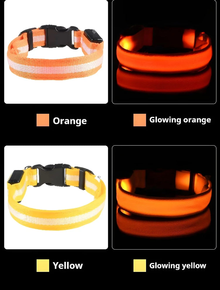 Nylon LED Dog Collar | Night Safety Flashing Glow In The Dark | Dog Leash | LUminous Fluorescent Dog Accessories Collar
