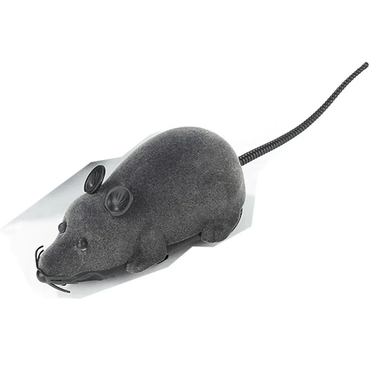 Rat Funny Cat Toy | Remote Control | Wireless Controlled Toy Rat | Interactive Toys | Cat Teaser Toy | Pet Supplies