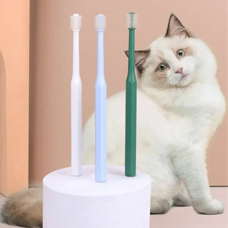 Cat Toothbrush & Toothpaste Set | Soft Brush for Teeth Cleaning | Pet Oral Care for Cats & Small Pets