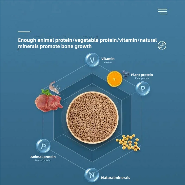 Automatic Fish Feeder with Adjustable Portion Control – 5 Gears, 500g Capacity