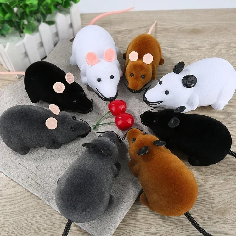 Rat Funny Cat Toy | Remote Control | Wireless Controlled Toy Rat | Interactive Toys | Cat Teaser Toy | Pet Supplies