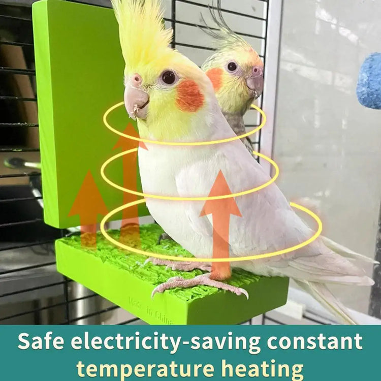 Bird Cage Heated Perch Platform – Snuggle-Up Parrot Warmer with Anti-Bite Cord | Automatic Bird Heater for Budgies & Small Cage Birds