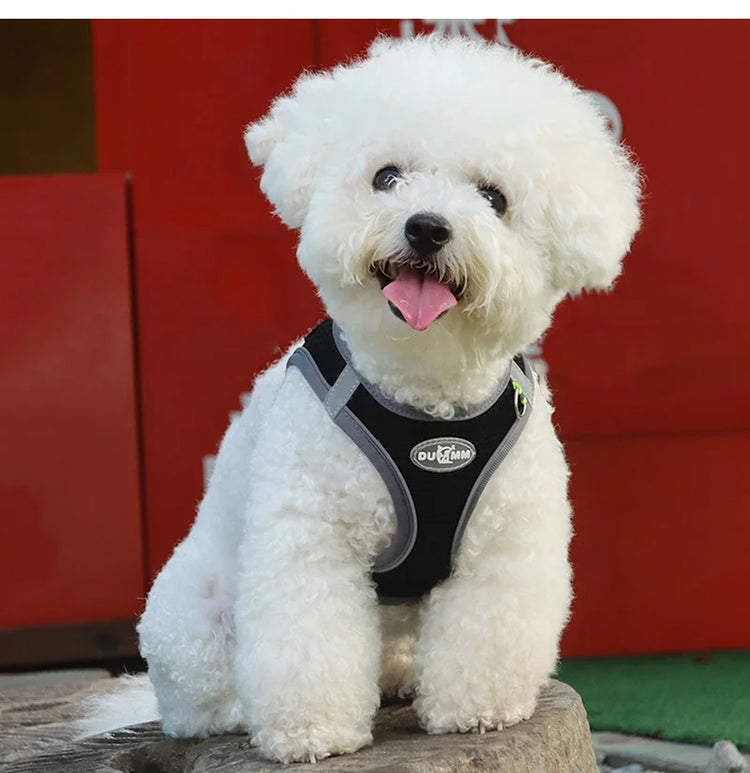 Pawstrip Soft & Reflective Dog Harness with Leash – Comfortable Vest Harness for Small Dogs