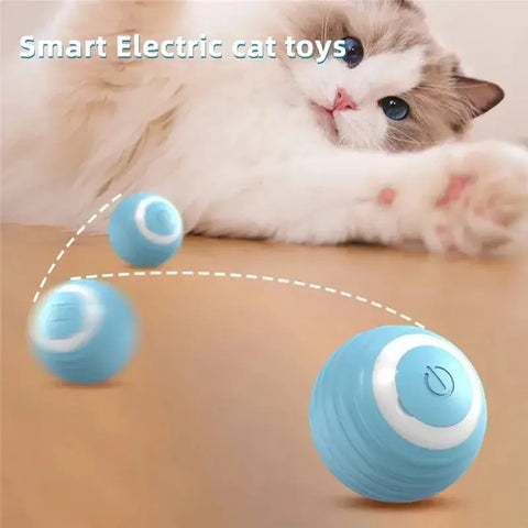 Cat Interactive Ball Toys | Training Self-Moving Kitten Toy | Electric Rolling Magic Ball | Electronic Automatic Cat Toys