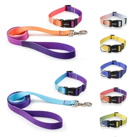 Adjustable Dog Collar & Leash Set – Personalized Nylon Traction Lead for Small to Large Dogs