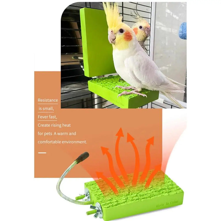 Bird Cage Heated Perch Platform – Snuggle-Up Parrot Warmer with Anti-Bite Cord | Automatic Bird Heater for Budgies & Small Cage Birds