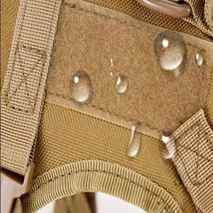 Outdoor Cat Vest | Waterproof Cat Clothes | Adjustable Cat Chest Strap | Special Walking Vest for Cats | Secure Outdoor Pet Harness