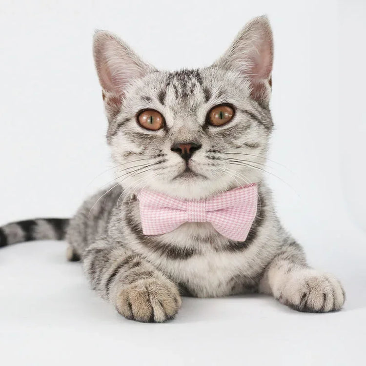 Cute Cat Collar with Bow Tie | Adjustable Design| Pet Dogs Cats Puppy Necklace - Pet Supplies