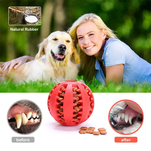 Interactive Rubber Ball Toy for Dogs, Chew Toy & Dental Cleaning Ball