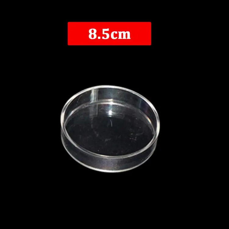 Transparent Acrylic Shrimp Feeder with Suction Cup – Floating & Bottom Feeding Fish Tank Accessory