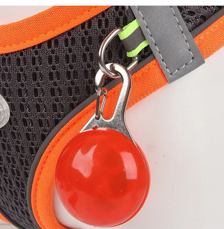 Pawstrip Soft & Reflective Dog Harness with Leash – Comfortable Vest Harness for Small Dogs