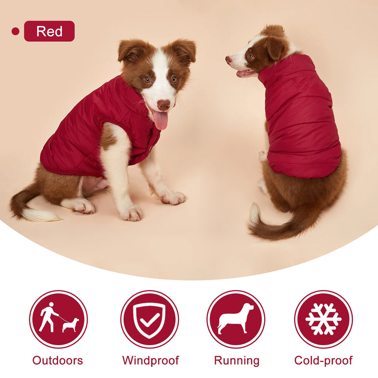 Winter Dog Clothes | Outdoor Cold-Proof Warm Dog Jacket with Fleece Cotton Lining | Chihuahua, French Bulldog, Puppy Clothing Coat