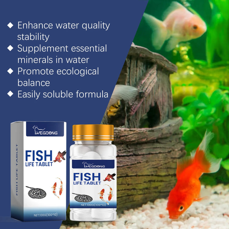 YEGBONG Algaecide 100ml – Rapid Water Purifier & Algae Inhibitor for Fish Tanks and Ponds