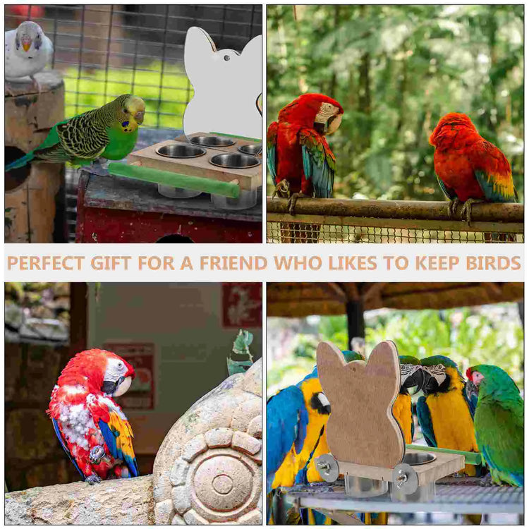 Bird Perch with Feeding Bowl | Wooden Stand & Food Cup for Parrots | Cage Feeder & Play Rack Combo | Acrylic & Wood Bird Cage Accessory