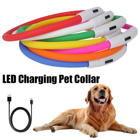 LED Night Safety Dog Collar – Rechargeable, Weatherproof, Adjustable