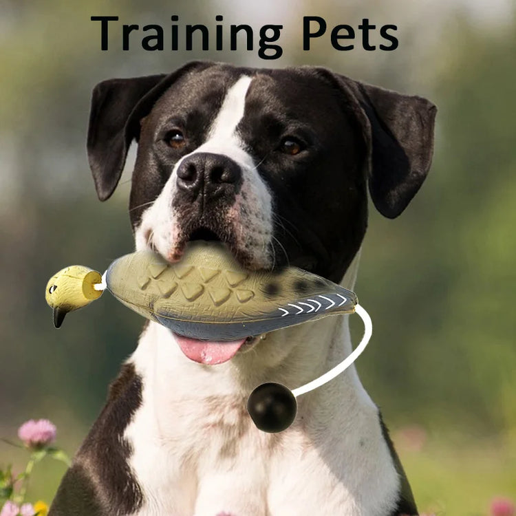 Dog Training Duck Dummy | Waterfowl Retrieval Training Toy for Dogs