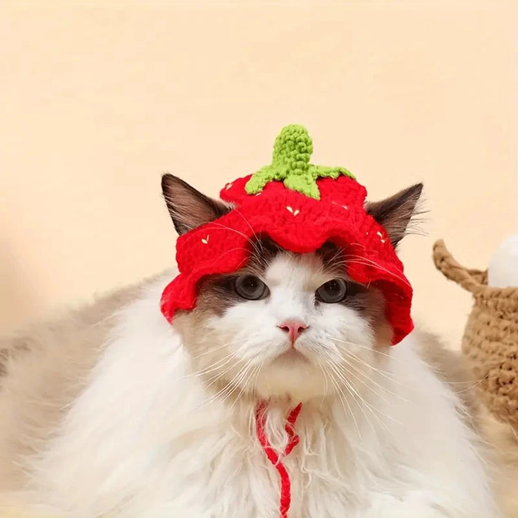 Pet Headgear | Cat and Dog Knitted Hat | Cosplay Props | Pet Headwear | Funny Pet Transformation Clothing