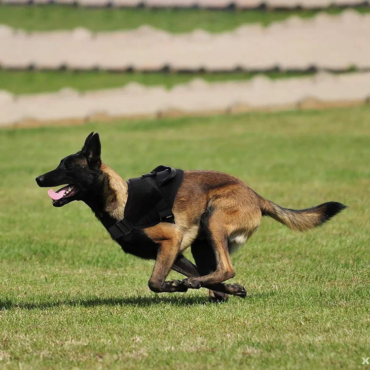 Tactical Nylon Dog Vest – Water-Repellent Outdoor Training Harness for Medium and Large Dogs