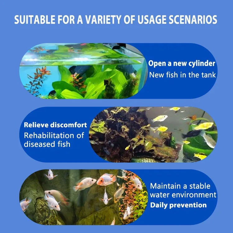 Health Medication for Fish – 100ml Fin Rot Treatment & Aquarium Water Purifier for Freshwater