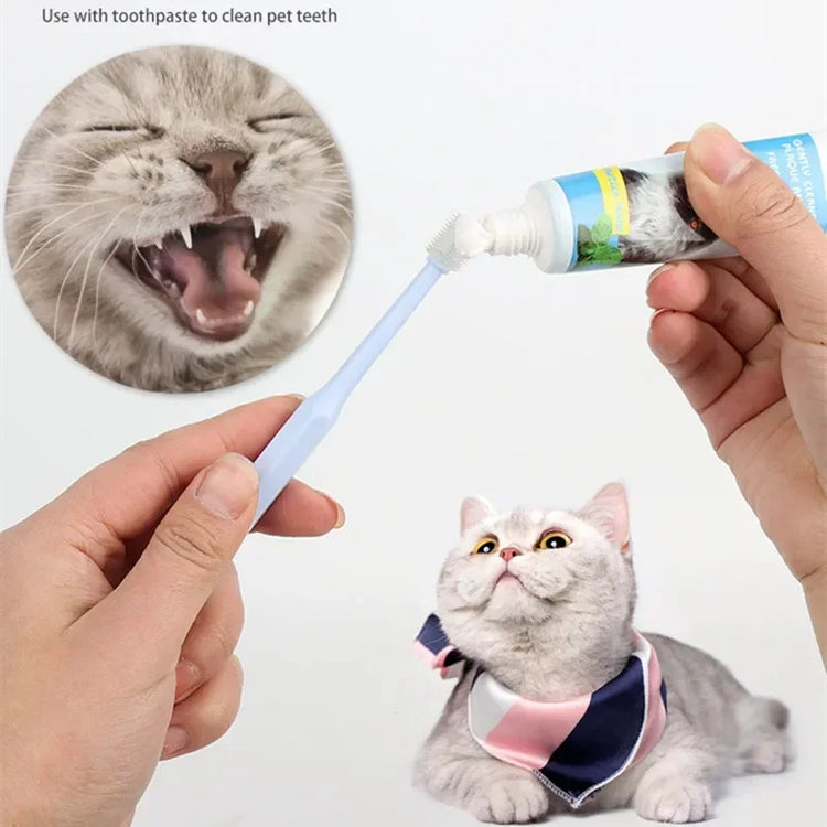 Cat Toothbrush & Toothpaste Set | Soft Brush for Teeth Cleaning | Pet Oral Care for Cats & Small Pets