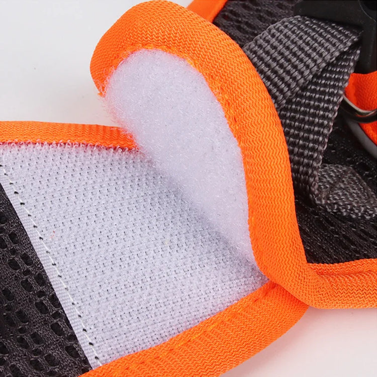 Pawstrip Soft & Reflective Dog Harness with Leash – Comfortable Vest Harness for Small Dogs