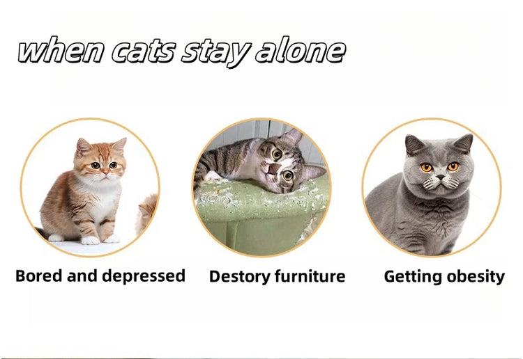 Foldable Cat Tunnel Tube Interactive Training Toy for Kittens and Puppies